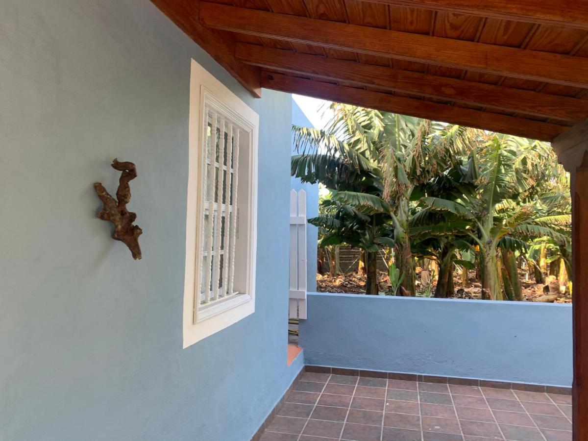 Rooftop Casa El Banco El Charco  エクステリア 写真