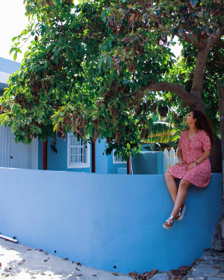 Rooftop Casa El Banco El Charco  エクステリア 写真