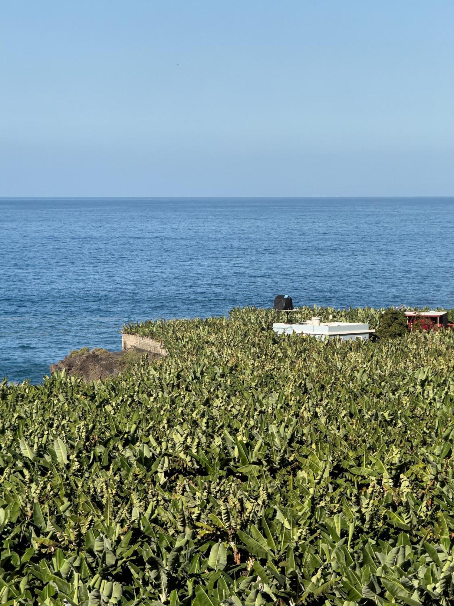 Rooftop Casa El Banco El Charco  エクステリア 写真